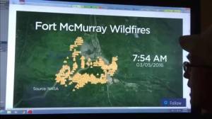 13169865_1264107680284467_1484986174_o