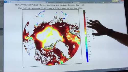 14248024_1359707494057818_1396359108_o